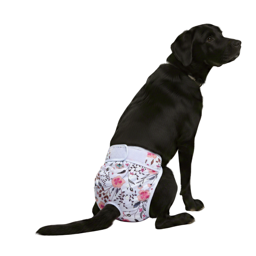 Loopsheidbroekje Roze bloem mock up