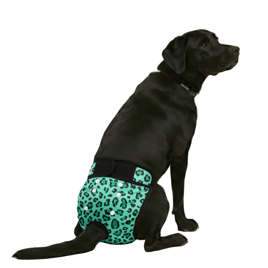 Loopsheidbroekje leopard groen mock up