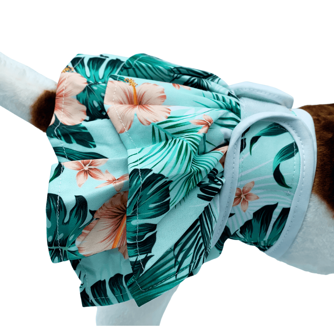 Loopsheidrokje Monstera – Wasbaar & verstelbaar met klittenband voor teefjes bij loopsheid