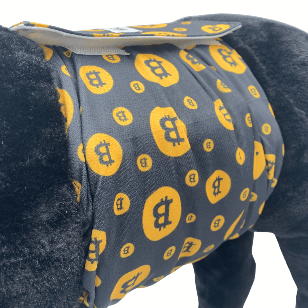 Hondenluier Bitcoin – Trendy plasband voor reuen met incontinentie