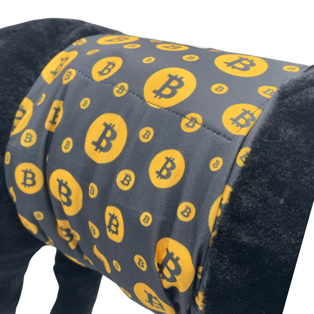Hondenluier Bitcoin – Trendy plasband voor reuen met incontinentie