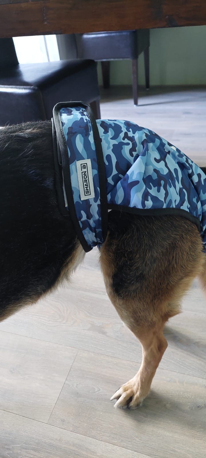 Loopsheidbroekje Camo Blauw – Wasbaar & verstelbaar voor teefjes bij loopsheid en incontinentie