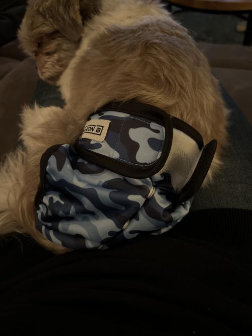 Loopsheidbroekje Camo Blauw – Wasbaar & verstelbaar voor teefjes bij loopsheid en incontinentie