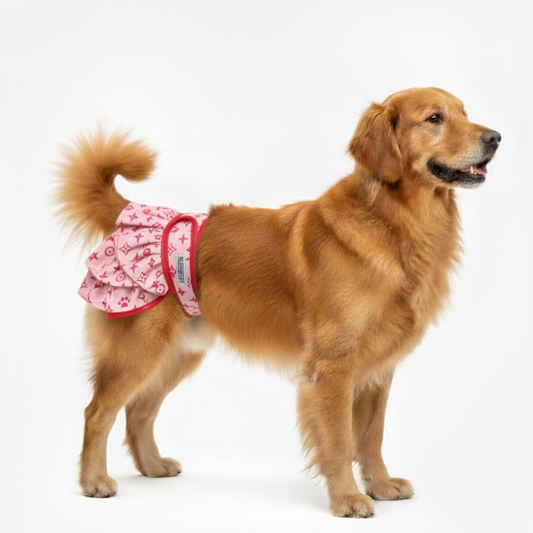 Loopsheidrokje Monogram Roze – Wasbaar & verstelbaar met klittenband voor teefjes bij loopsheid
