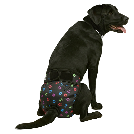 PETLESO Hondenluiers honden beschermende broekjes 3 stuks wasbare loopsheidsbroek voor teven - XL PETLESO Hondenluiers honden beschermende broekjes 3 stuks wasbare loopsheidsbroek voor teven - XL
