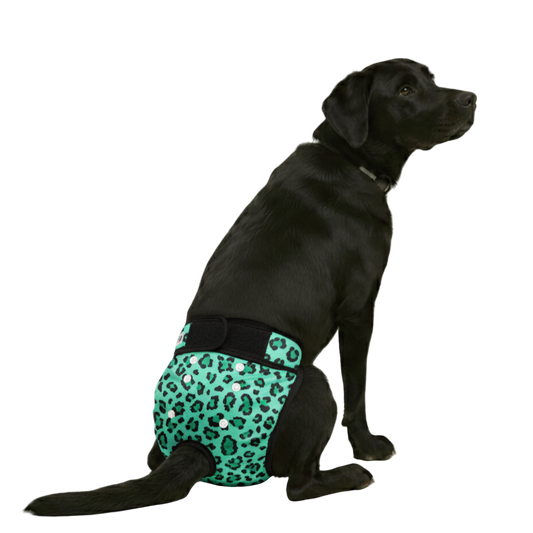Loopsheidbroekje leopard groen mock up