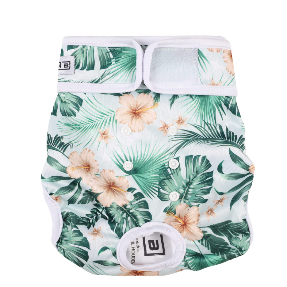 Loopsheidbroekje Monstera – Wasbaar & verstelbaar voor teefjes bij loopsheid en incontinentie