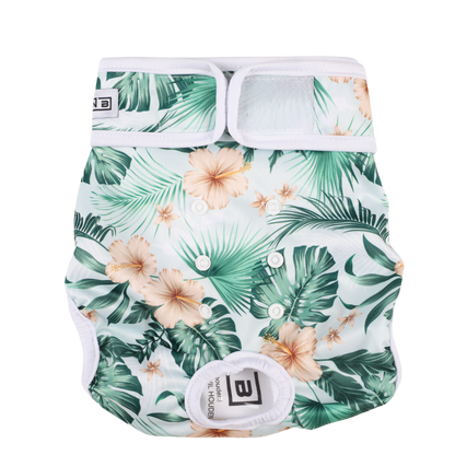 Loopsheidbroekje Monstera – Wasbaar & verstelbaar voor teefjes bij loopsheid en incontinentie