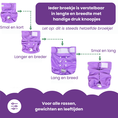 Loopsheidbroekje Leo Grijs – Wasbaar & verstelbaar voor teefjes bij loopsheid en incontinentie