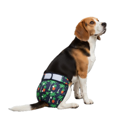 Loopsheidbroekje Ananas – Wasbaar & verstelbaar voor teefjes bij loopsheid en incontinentie