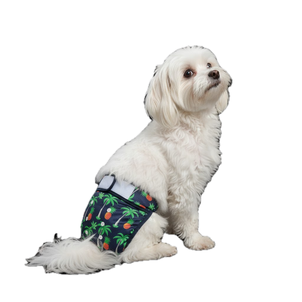 Loopsheidbroekje Ananas – Wasbaar & verstelbaar voor teefjes bij loopsheid en incontinentie