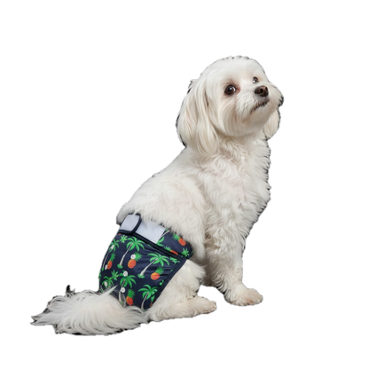 Loopsheidbroekje Ananas – Wasbaar & verstelbaar voor teefjes bij loopsheid en incontinentie