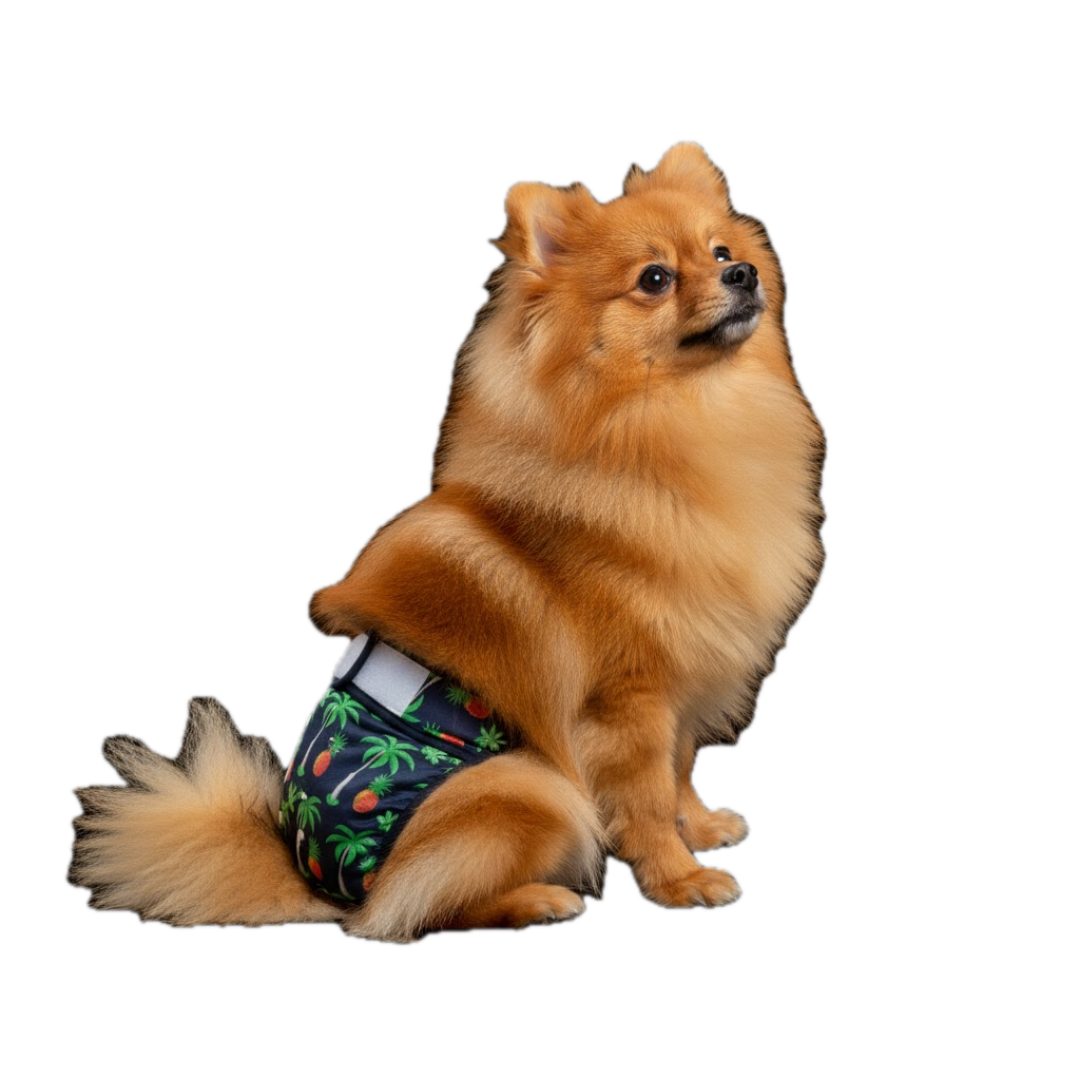 Loopsheidbroekje Ananas – Wasbaar & verstelbaar voor teefjes bij loopsheid en incontinentie