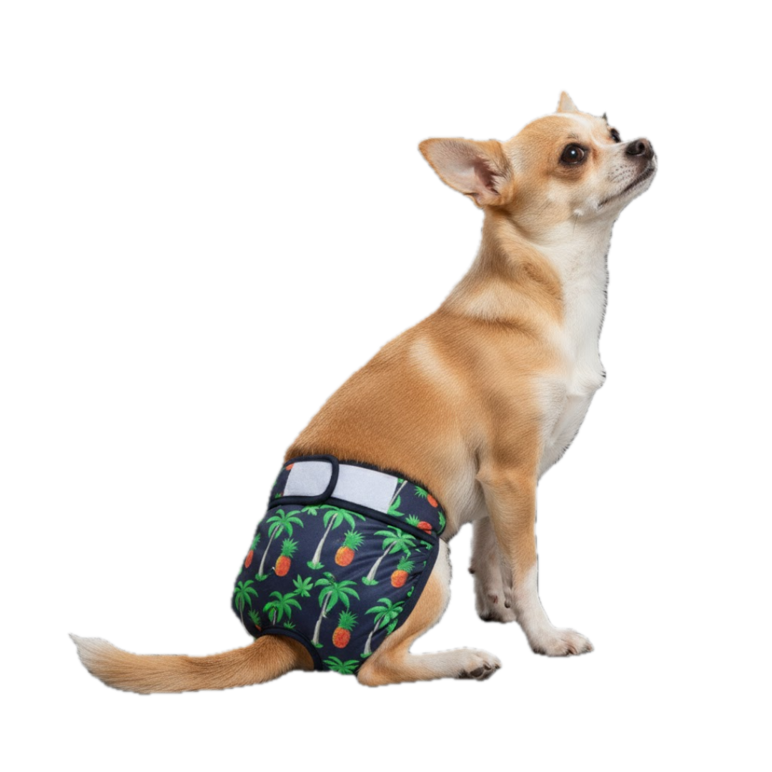 Loopsheidbroekje Ananas – Wasbaar & verstelbaar voor teefjes bij loopsheid en incontinentie