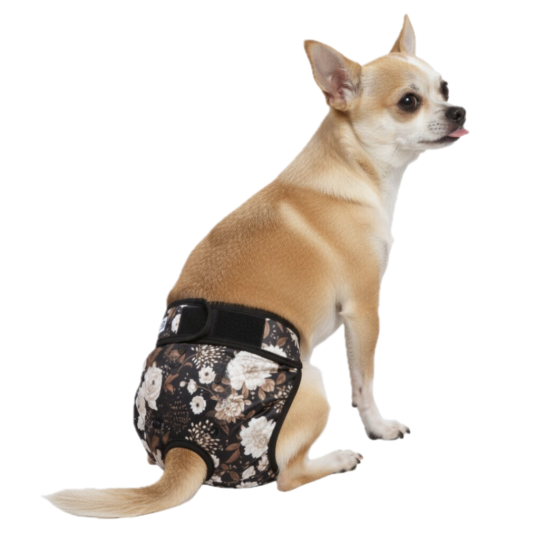 Loopsheidbroekje Beige Bloem – Wasbaar & verstelbaar voor teefjes bij loopsheid en incontinentie