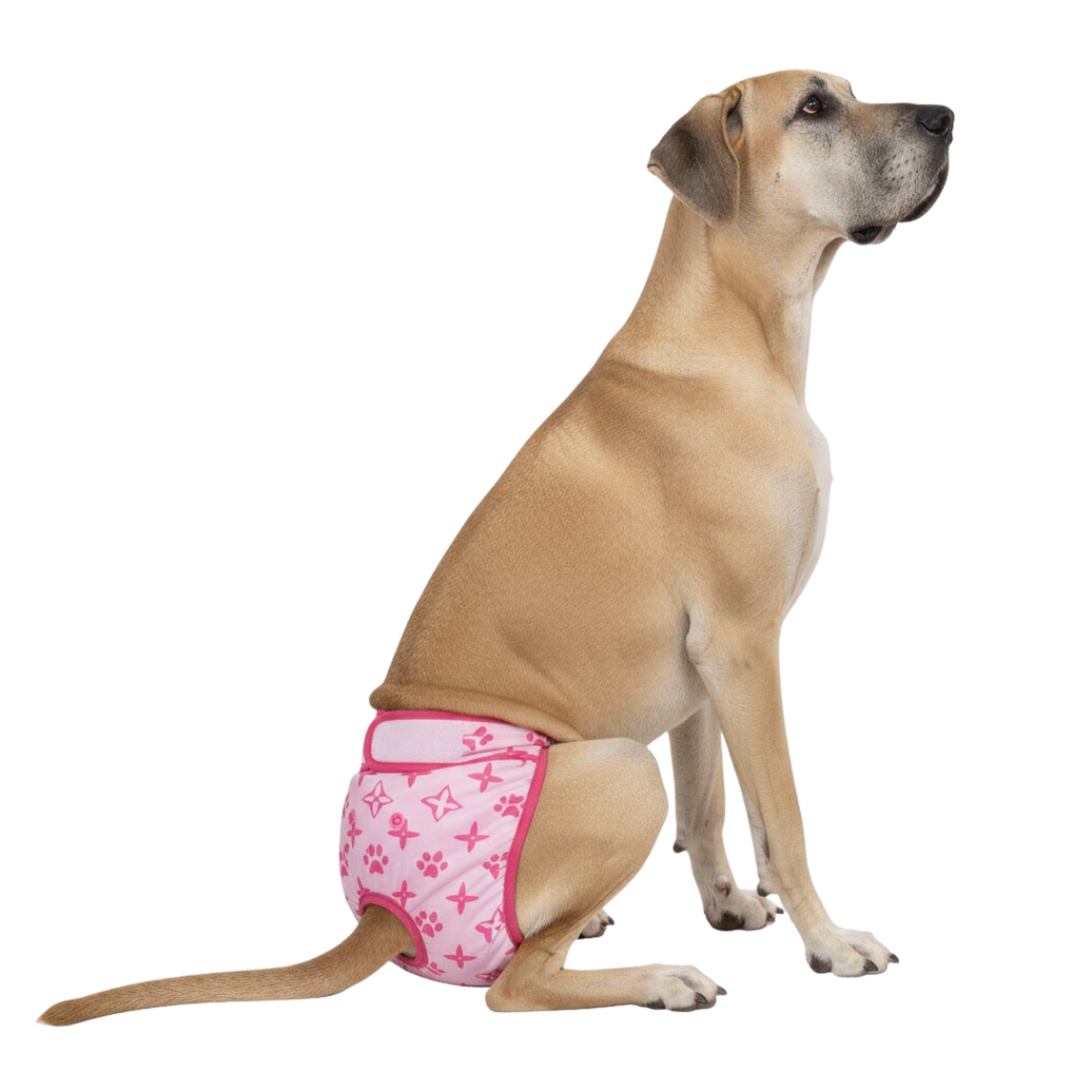 Loopsheidbroekje Monogram Roze – Comfortabele bescherming voor teefjes
