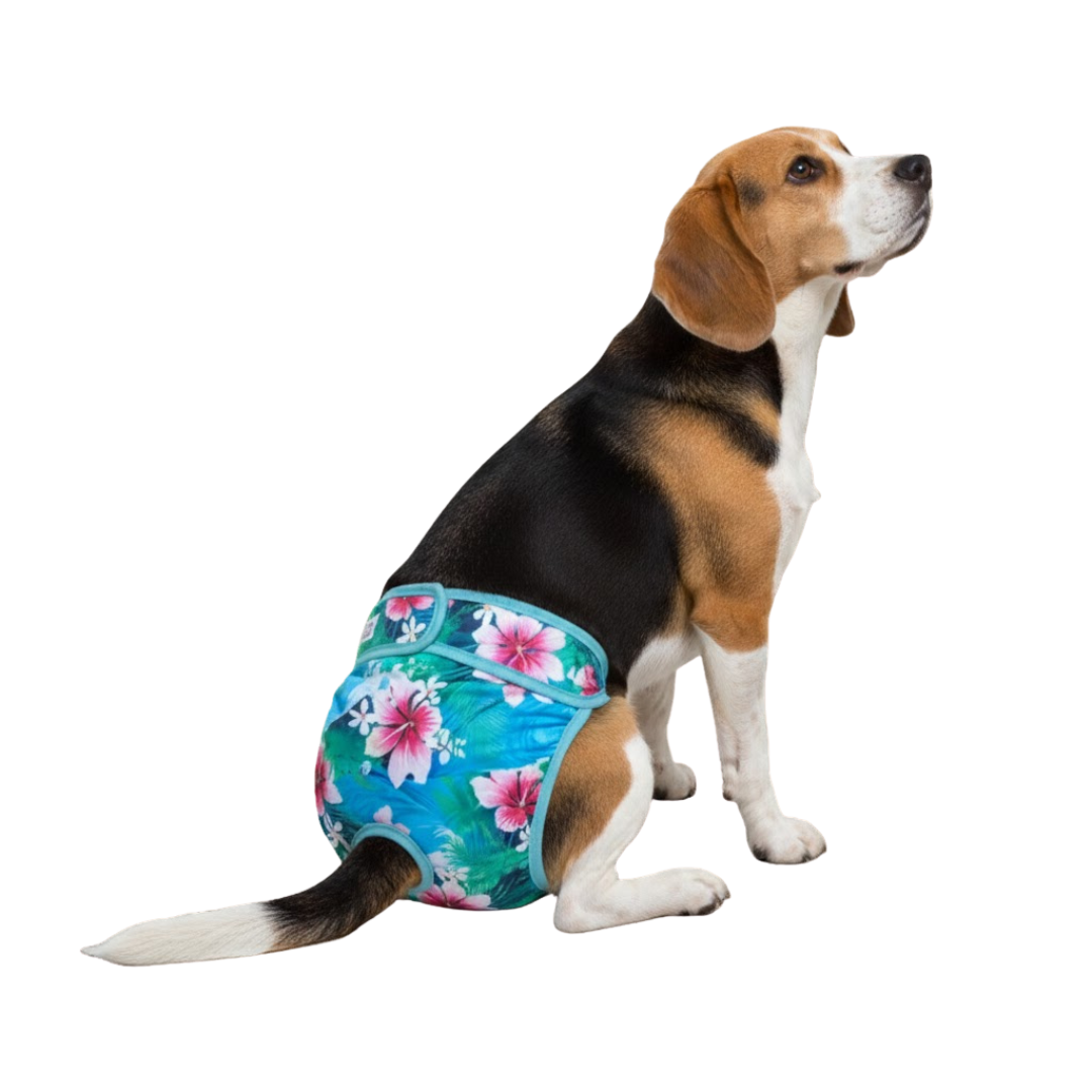 Loopsheidbroekje Magnolia – Wasbaar & verstelbaar voor teefjes bij loopsheid en incontinentie