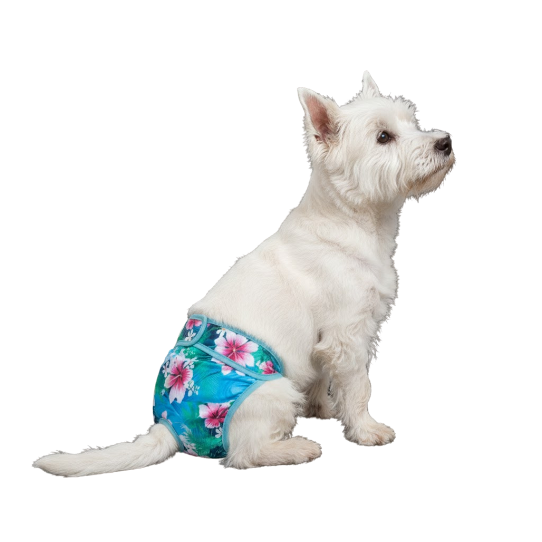 Loopsheidbroekje Magnolia – Wasbaar & verstelbaar voor teefjes bij loopsheid en incontinentie