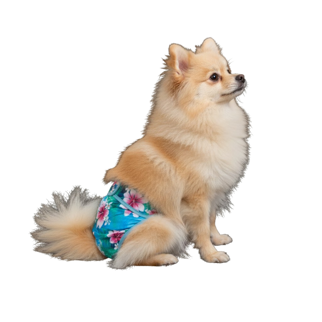 Loopsheidbroekje Magnolia – Wasbaar & verstelbaar voor teefjes bij loopsheid en incontinentie