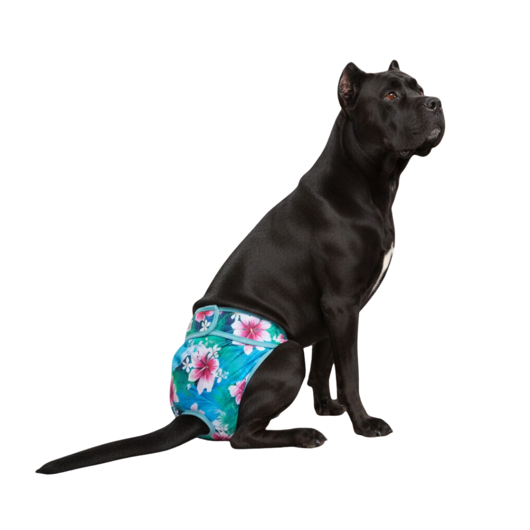 Loopsheidbroekje Magnolia – Wasbaar & verstelbaar voor teefjes bij loopsheid en incontinentie