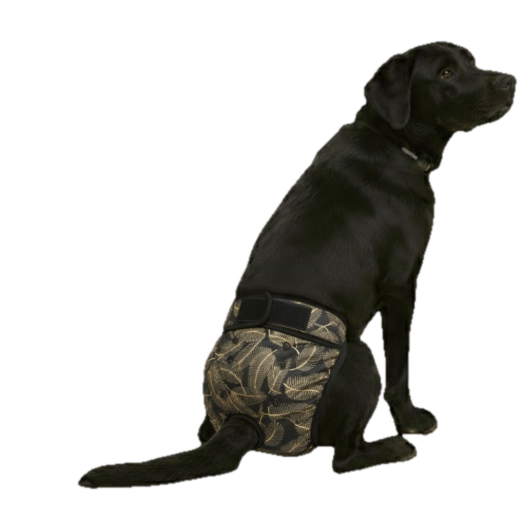 Loopsheidbroekje Zwart met Gouden Palmen – Verstelbaar & wasbaar voor teefjes bij loopsheid