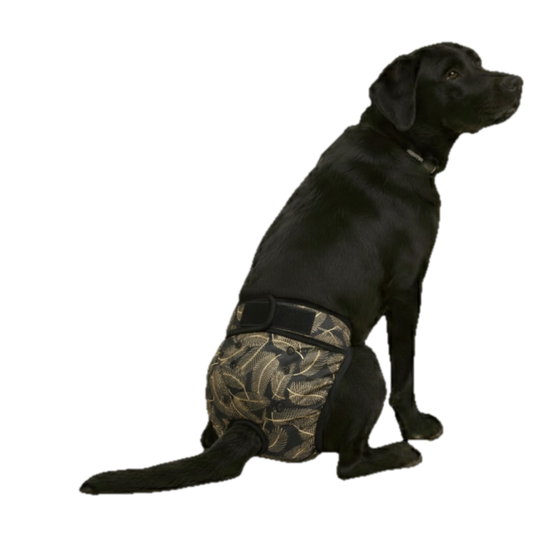 Loopsheidbroekje Zwart met Gouden Palmen – Verstelbaar & wasbaar voor teefjes bij loopsheid