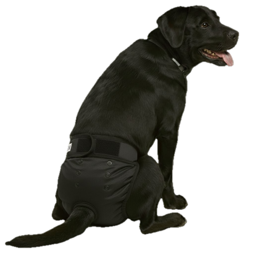 Loopsheidbroekje Zwart – Wasbaar & verstelbaar hondenbroekje voor teefjes bij loopsheid en incontinentie
