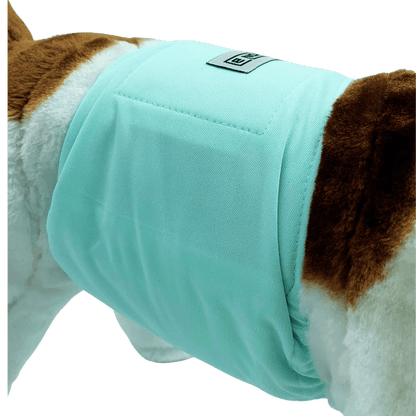 Hondenluier Mint Groen – Comfortabele plasband voor reuen bij incontinentie