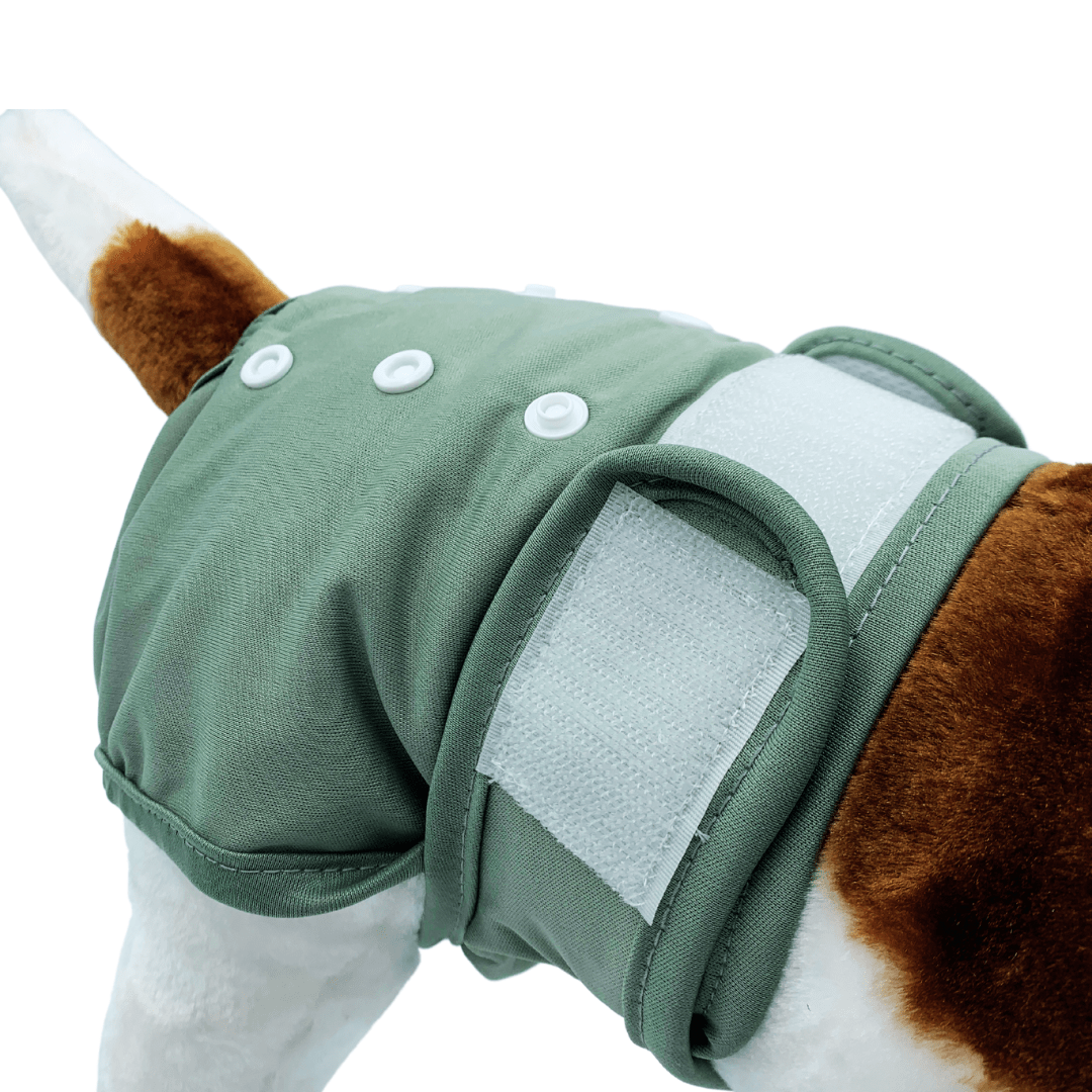 Loopsheidbroekje Grijs – Wasbaar & verstelbaar voor teefjes bij loopsheid en incontinentie