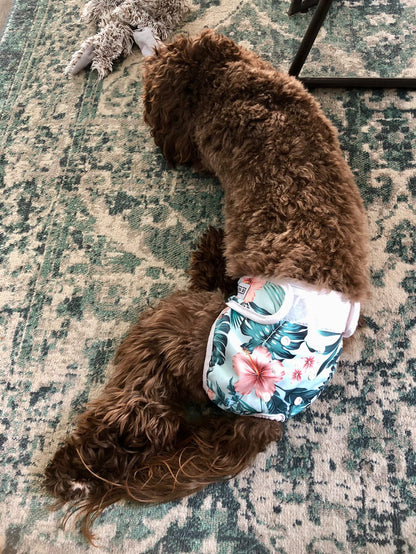 Loopsheidbroekje Monstera – Wasbaar & verstelbaar voor teefjes bij loopsheid en incontinentie