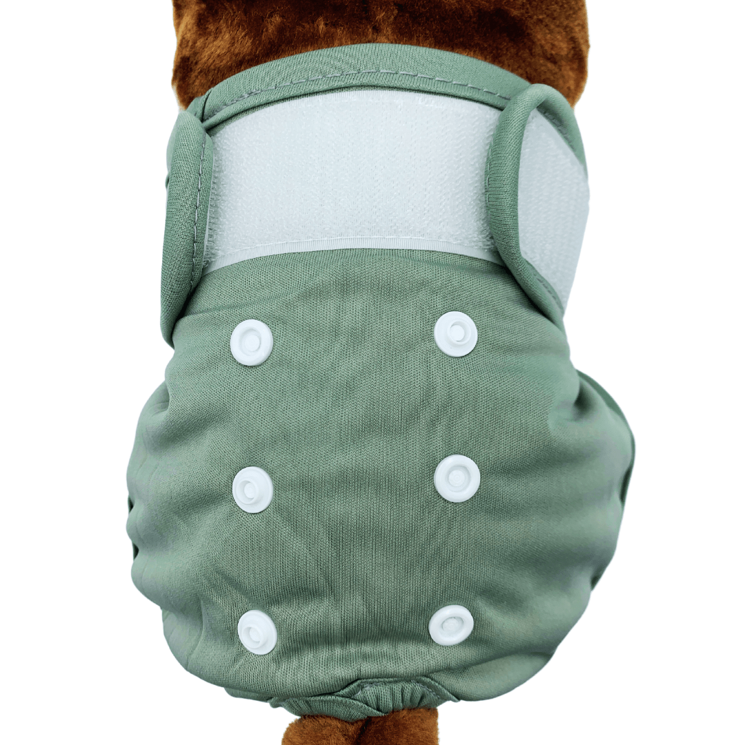 Loopsheidbroekje Grijs – Wasbaar & verstelbaar voor teefjes bij loopsheid en incontinentie