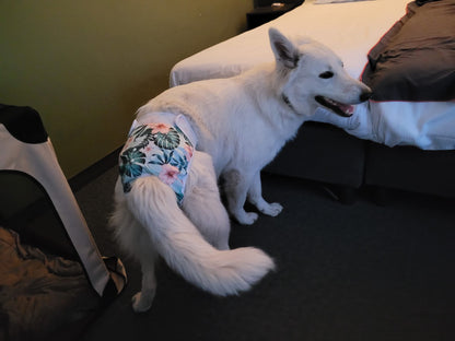 Loopsheidbroekje Monstera – Wasbaar & verstelbaar voor teefjes bij loopsheid en incontinentie