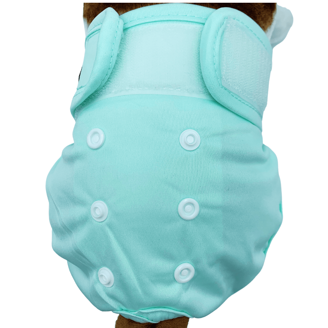 Loopsheidbroekje Mint Groen – Wasbaar & verstelbaar voor teefjes bij loopsheid en incontinentie