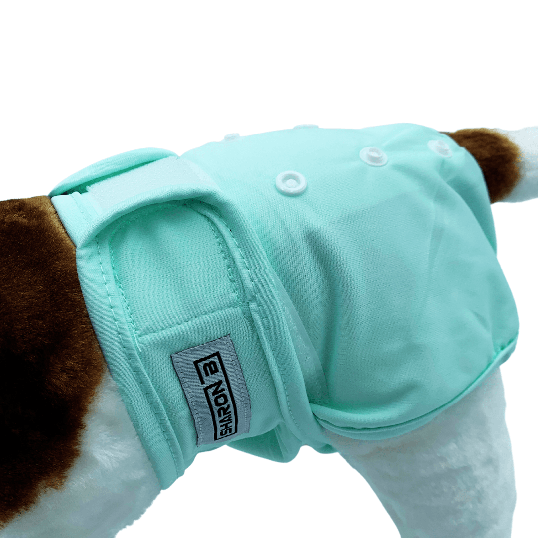 Loopsheidbroekje Mint Groen – Wasbaar & verstelbaar voor teefjes bij loopsheid en incontinentie