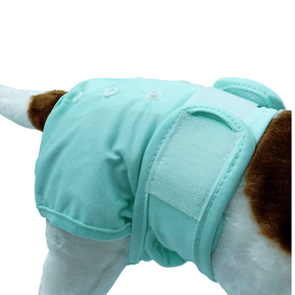 Loopsheidbroekje Mint Groen – Wasbaar & verstelbaar voor teefjes bij loopsheid en incontinentie